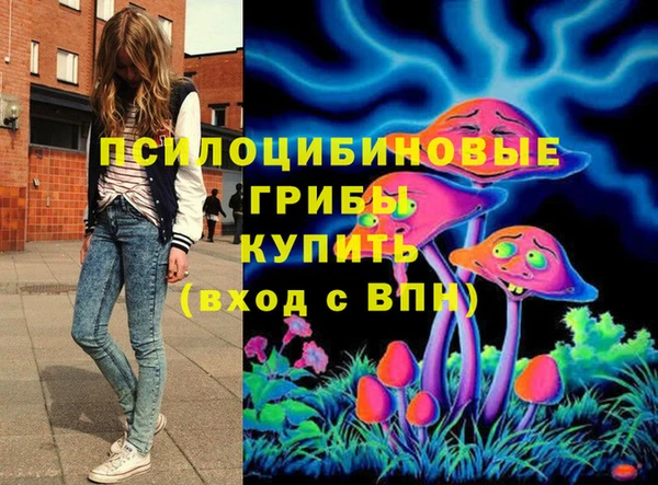 ECSTASY Магас