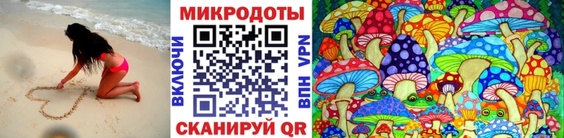 blacksprut зеркало хочу Ясногорск Псилоцибиновые грибы Psilocybe